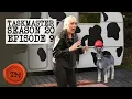 Download Lagu Taskmaster Season 20, Episode 9 - 'A 1970s camping kettle.' | Full Episode