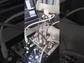 Lovely Easter egg Mutable Instruments Stages with VCV Rack
