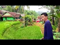 Download Lagu Joking with the Most Beautiful Villagers of the Sundanese Tribe ‼️ Kampung Berkah Makes You Feel ...