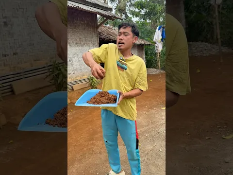 Dulugdugdag lempar lumpur
