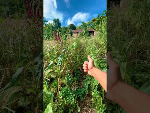 Le recap de mon année 2022