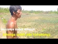 Download Lagu Dari lahan pinjam pake pak duta sudah mulai memetik sedikit hasil dari berkebunya