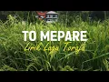 Download Lagu To Mepare (Lirik) | Lagu Daerah Toraja Paling Populer