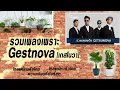 Download Lagu รวมเพลงเกสโนวา Getsunova music เพราะทุกเพลง ฟังต่อเนื่อง [เพลงเพราะมาก] #getsunova #ฟังเพลงเพราะ