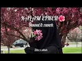 Download Lagu Sherine - Kalam Eineh l slowed reverb 🎧🎶#beautiful #love #viral #millionaire 