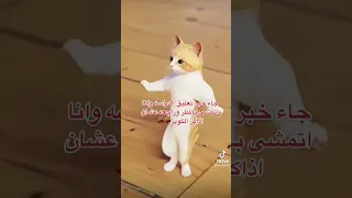 الرقص التونسي تاتك ياتاتك 
