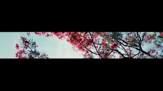 Ummii Official Video Clip By Ibsa Abdi Saalahaddin Seid 2020 