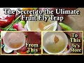 The Secret to the Ultimate Fruit Fly Trap for Garden Harvests Catch the Kitchen Pests Faster