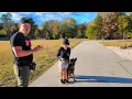 How to Train a German Shepherd Puppy Like a Pro