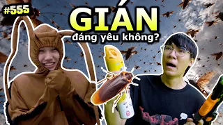 [VIDEO # 555] Gián Đáng Yêu Không!? | Đu Trend Cùng Ping Lê