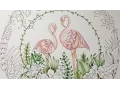 MAGICAL JUNGLE by Johanna Basford - prismacolor pencils