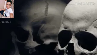 ملكوش وجود حسن شاكوش    دندنها