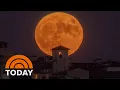 Full Moon Fever Strikes As Millions Snap Shots Of Supermoon