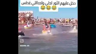 ماني متضايق مبسوط الريس ورايق                   دندنها