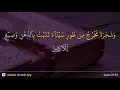 Download Lagu Al-Mu'minun ayat 20