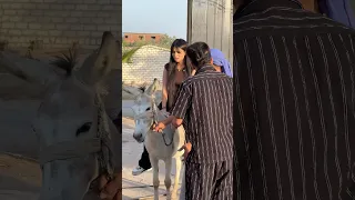 هو مصطفي زعل من المفجاء ولا اي 