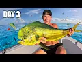 3 Days in the Florida Keys Spearfishing Lobster Diving Mahi Chaos