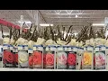 Bare Root Roses have arrived at Sam s Club -