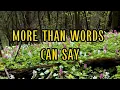 Lagu MORE THAN WORDS CAN SAY - ALIAS || LYRICS VIDEO