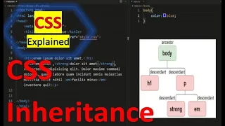 CSS Inheritance CSS Explained