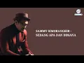 Download Lagu SAMMY SIMORANGKIR - SEDANG APA DAN DIMANA (Lyrics Video)