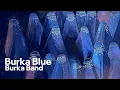 Lagu Burka Blue (Lyrics) | Burka Band