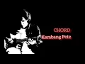 Download Lagu Kembang Pete Iwan Fals Chord Lirik Kunci Gitar
