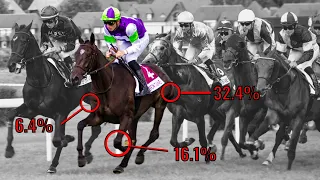 Best Horse Racing Statistics Website For Picking Winners