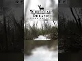 Shawano County 80 acres Buildable acreage with Creek Frontage diverse