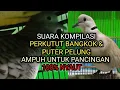Suara Kompilasi PERKUTUT BANGKOK Dengan PUTER PELUNG cocok Untuk Pancingan bikin RAME
