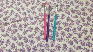 Product Of The Week Family Dollar Brushes
