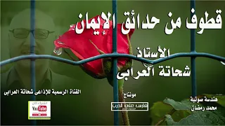 قطوف من حدائق الإيمان حلقة رائعة تعرض لأول مرة دندنها