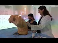 WesternU Coll of Osteopathic Medicine of the Pacific Sarkaria Family Patient Simulation Ste 2024