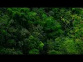 BATAS SENJA LAGU FULL ALBUM MUSIK TERBAIK FAVORIT 🎵 | Playlist Populer Musik Band Indonesia