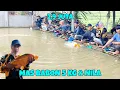 Download Lagu Semua gak nyangka kalau ikan mas'nya babon babon sampe 5 kg !! nila merah indukan