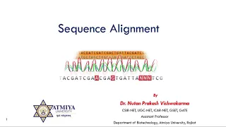 Bioinformatics Sequence Alignment Part 1 Basics