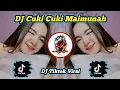 DJ Cuki Cuki Maimunah Viral Fyp Tiktok Terbaru
