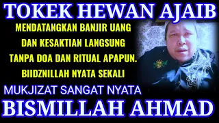 tokek ajaib menyimpan rahasia kekayaan dan kesaktian bismillah ahmad 
