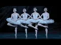 Download Lagu Swan Lake – Dance of the cygnets (The Royal Ballet)