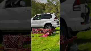 محمد البصيلي دحية دحيه 