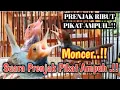 Download Lagu Suara Prenjak Ribut Bersautan Pikat Ampuh