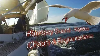 Ramsey Sound Riptides, Chaos & Engine Trouble!| Osprey Sailing Adventures| Ep10 01