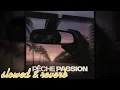 VEN1 - Pêche Passion (slowed & reverb)