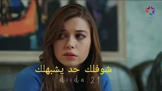 سيران و فريد رصيد الستر طائر الرفراف Yalı çapkıni Seyran Ve Ferit 