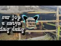 Lagu Sur jop u satya king dung 