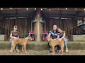 Download Lagu Tieu Nha helps dog Vang escape death - Love for animals