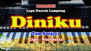 Download Lagu Daerah Lampung - DINIKU - KARAOKE MP3