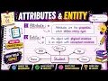 Attributes and Entity