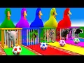Download Lagu Long Slide Game With Cow Elephant Gorilla Hippopotamus Tiger - 3d Animal Game - Funny 3d Animals