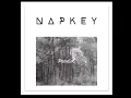 Napkey - Pegasus